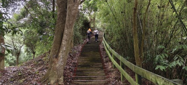 2026/02/01 十二寮古道2992741