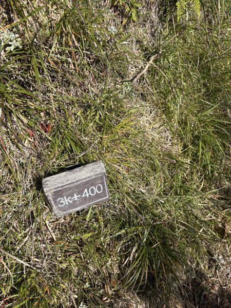 20251225塔山步道(大塔山)2970403