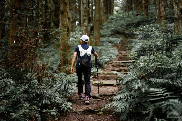 帶媽媽爬長壽山2669494