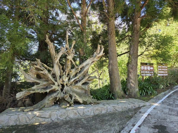 [皮皮獅探險隊-09/10] 2025_0816 野馬瞰山步道2862652