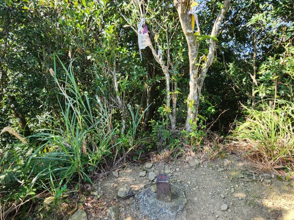 20240114指南宮站經猴山岳二格山鵝角格山至貓空站2430833