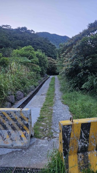 20251007冷水山西峰-三重橋山-挑硫古道-大油坑山前峰-大油坑山