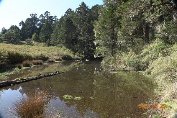 南投 仁愛 武法奈尾山2133763