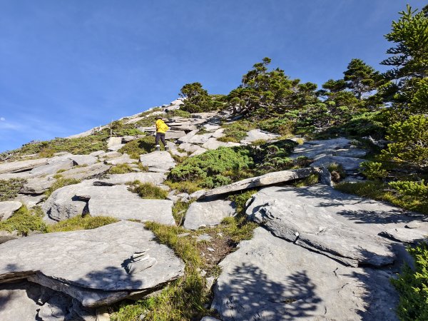 北一段(08/14)陶塞峰 2025_0906~132886956