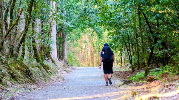 西班牙朝聖法國之路115KM, Day73126185