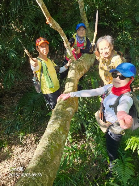 平溪磐石嶺古道屏風山巡山2915889