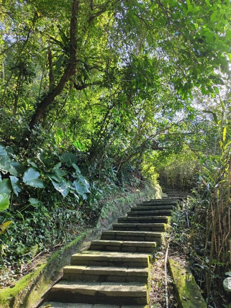 2023.12.08 土庫岳2695268