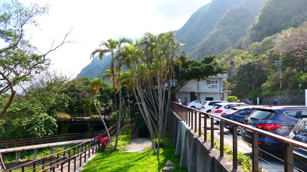 洄瀾東海岸3006755