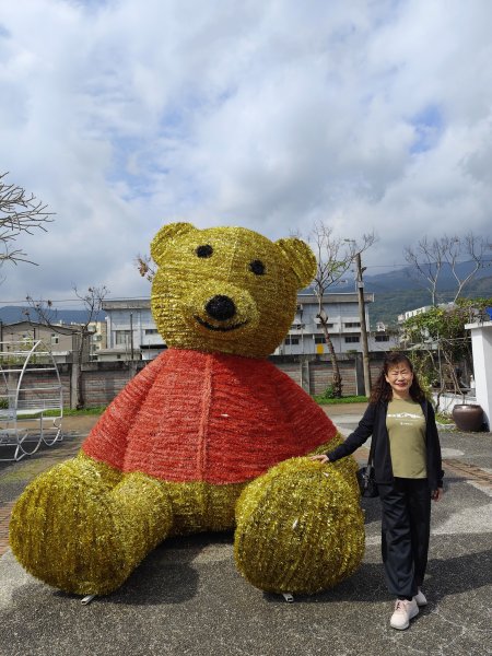 【新春賞櫻樂】平菁街42巷、宜蘭頭城火車站、二二八和平公園、東湖樂活公園3007700