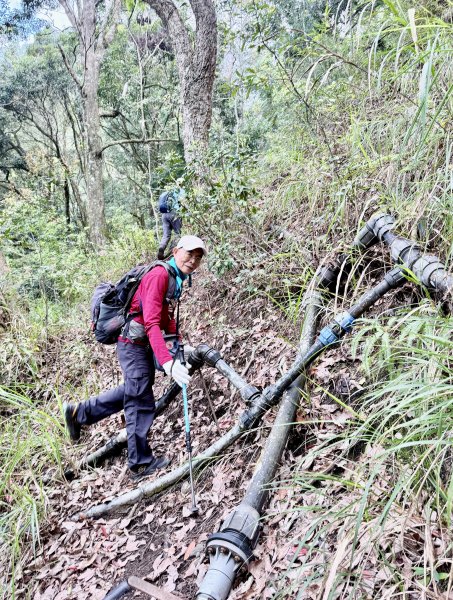 奧萬大登合流點山順撿楓樹林山.獅子頭    2025.3.112734136
