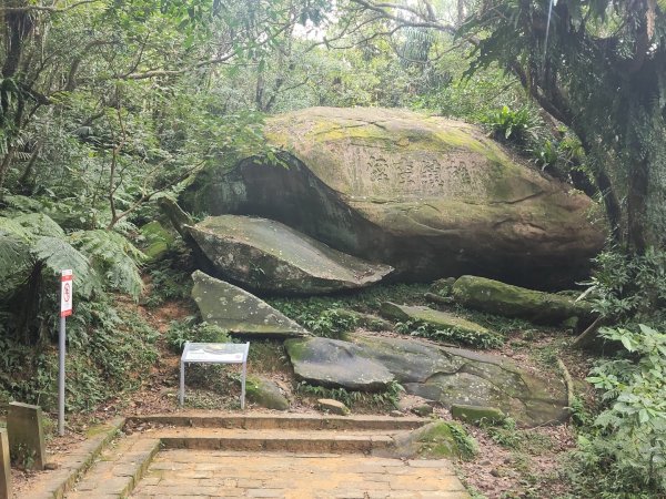 草嶺古道茫草祭2936604