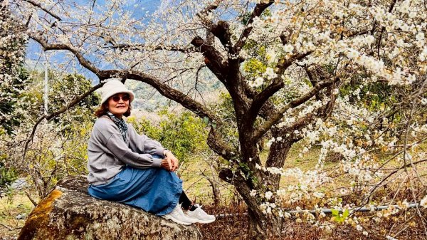 🌈1/17（六）蔡家古厝賞梅×梅子夢工廠×車埕老街✨FB：熊熊趴爬走🌈2983942