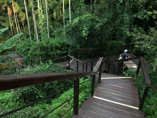 太興飛瀑步道1069708