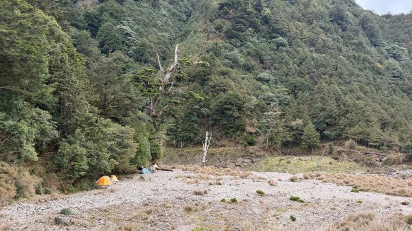 小關山 神池 2026 01/09 兩天一夜2982145