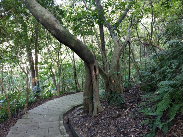 指南宮步道1453932