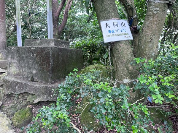 大棟山系第一段、第二段一起走2857255