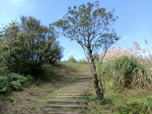 汐止區茄苳越嶺古道+上鹿窟崙山+九層坪山+四分尾山+大尖山8字走2981627