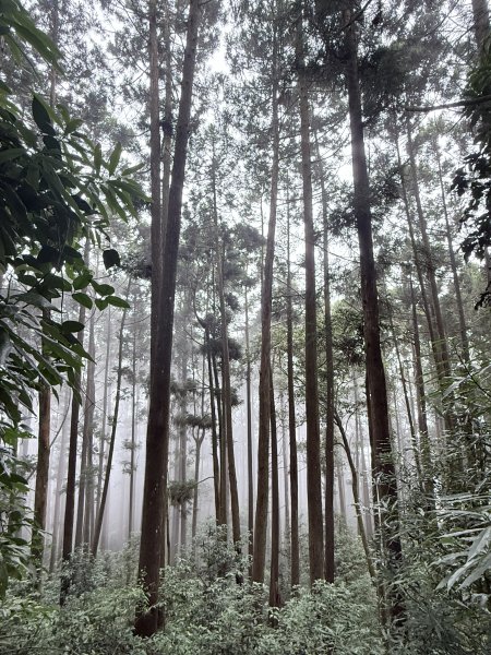 又來老地方避暑，順走小雪防火巷秘境  2026.7.1-23081439