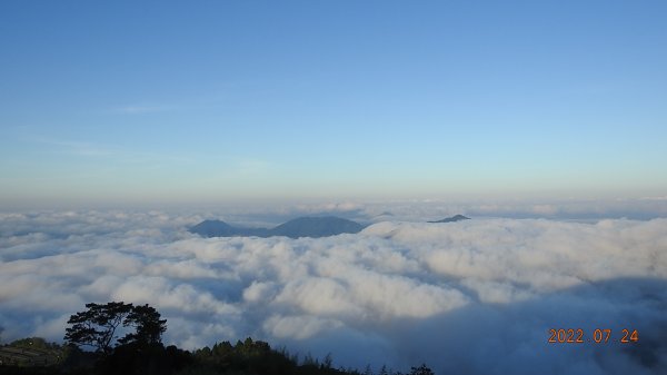 最高小百岳-大塔山2663M&阿里山二延平步道1775015