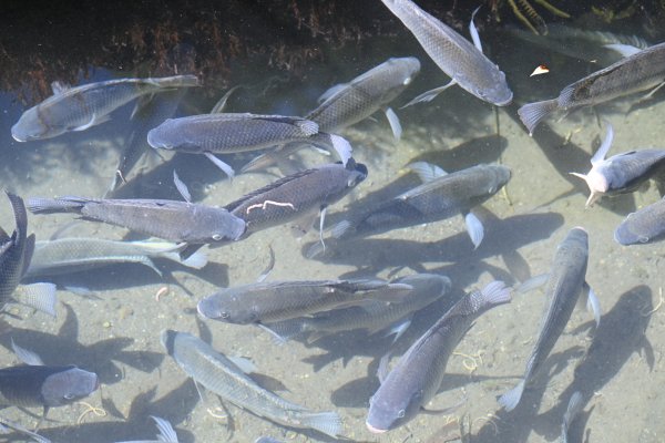 2025_0628 溪瀧步道2824974