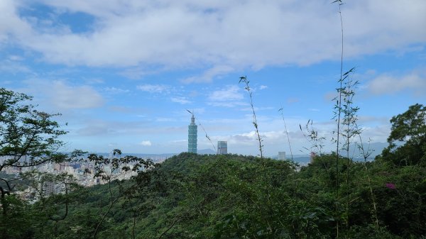 2020-1116象山-九五峰-虎山1171847