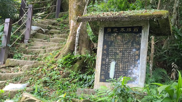 土城天上山火焰山1066675