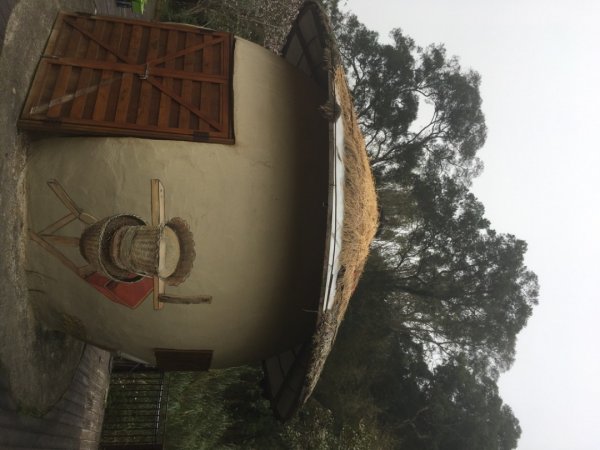 瑞湖國小2036516
