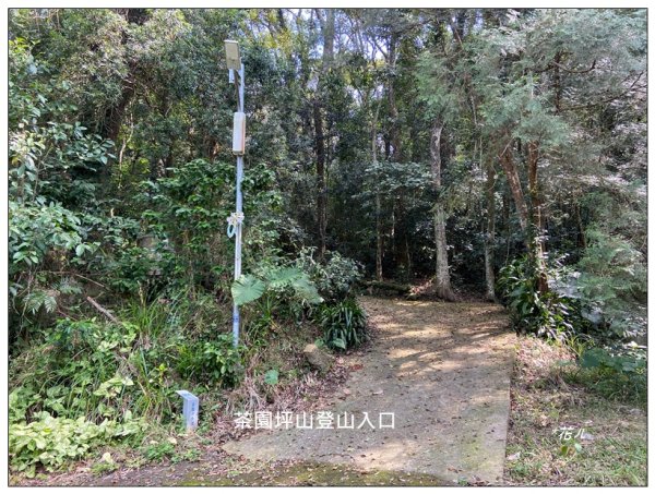 茶園坪山 O型路線2750569
