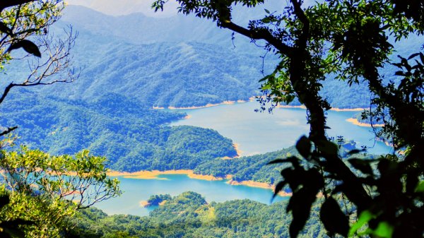 黃櫸皮寮山2898301