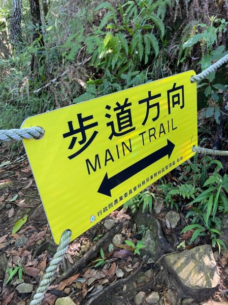 東卯山1750895