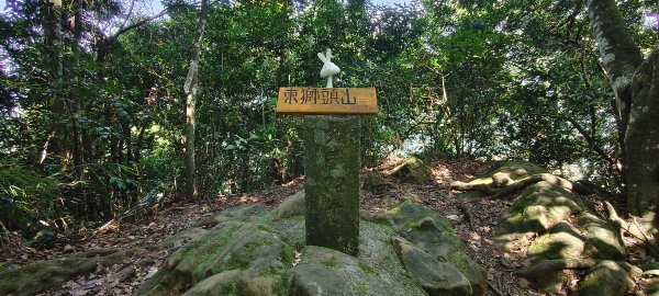 2025/08/09_赤柯山+東獅頭山步道2856309