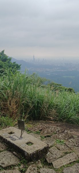 大尖山.新北汐止3050901