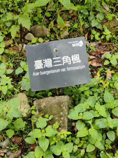 福山植物園2270201
