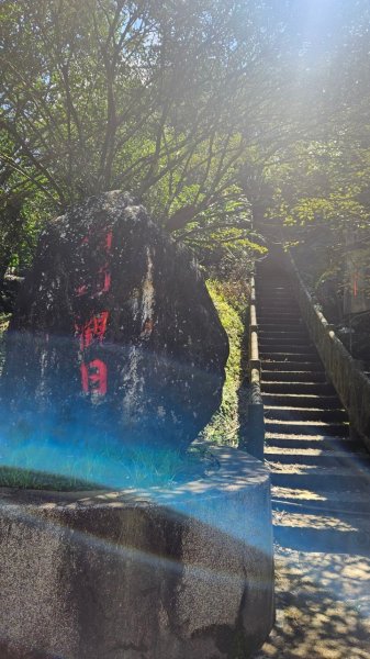 20250228西九份坑山-九份坑山-觀日峰-新厝山-火炎山-美艷山2722413