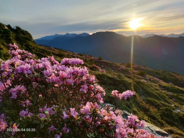 合歡山 西峰 北峰1731205