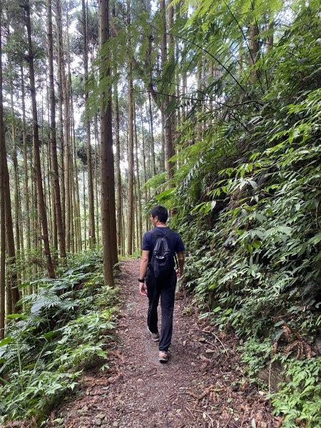 20250705-Ep.02白蘭溪古道-2025森遊竹縣皮皮獅探險隊2851398