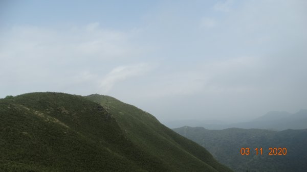 沒有意外，再度槓龜 !876559