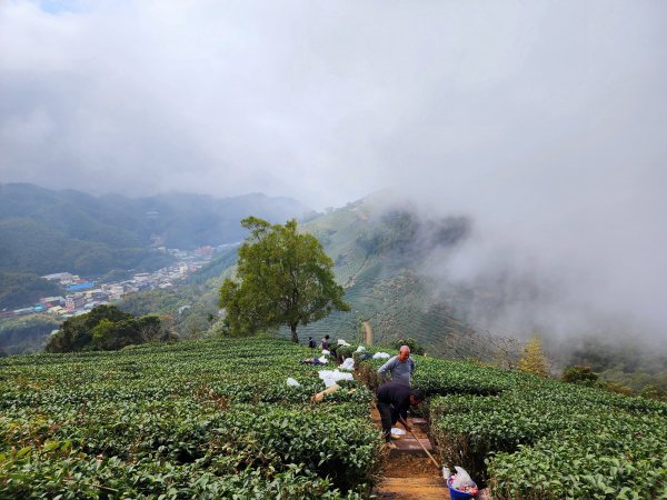 小百岳集起來-梨子腳山2182949