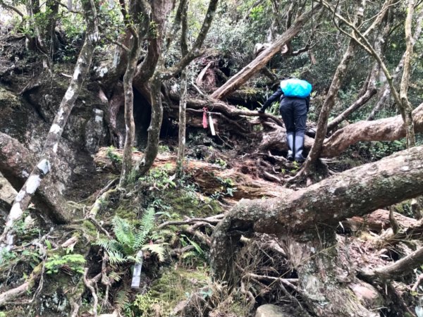 嘎色鬧走那結山1370910