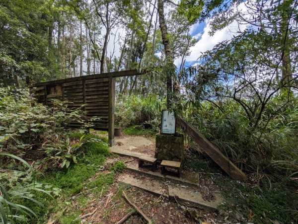 孕婦第一次的谷關七雄馬崙山2991630