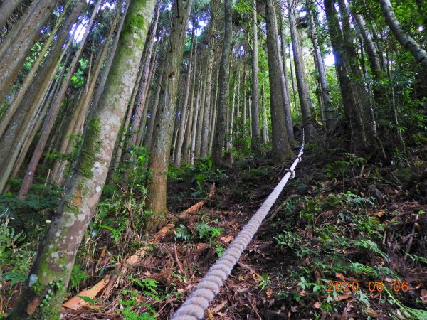 新竹 五峰 鳥嘴山、鵝公髻山986661