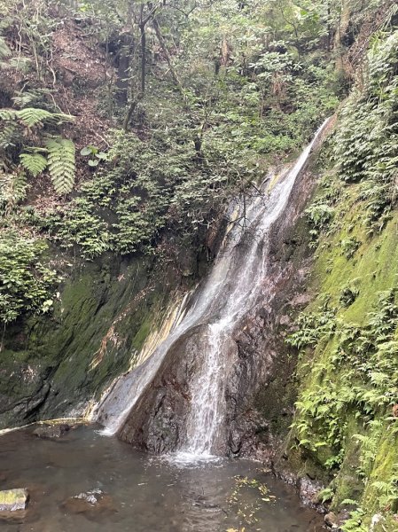 陽明山六瀑連走2877727