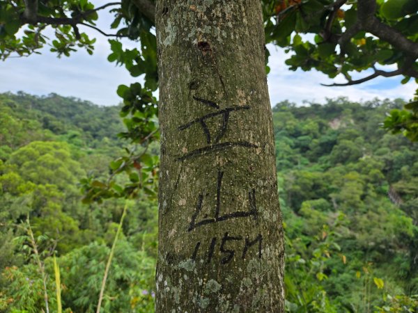 大社觀音山十三連峰環形2924410