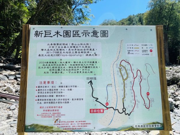 1140825司馬庫斯新巨木園區-司立富瀑布-部落觀景台2871190
