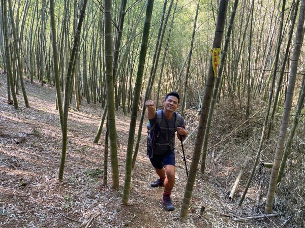 金面山.金山面山.十三份山.山麻坑山【暗藏玄機 不容你小覷的郊山縱走】2384828