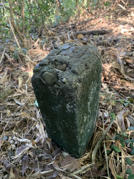 20251122高雄竹山口山2945316