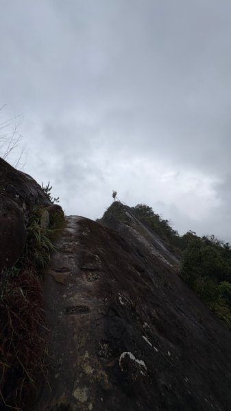 迎新（2026元旦2975611