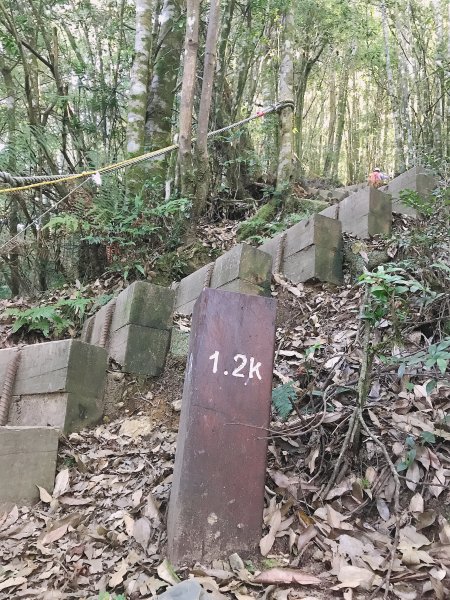 雪見遊憩區→北坑山→大板根山徑→東洗水山1273635