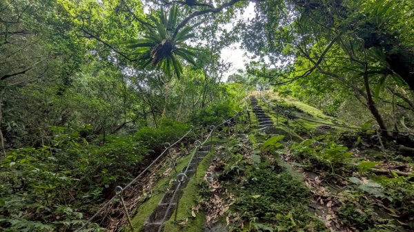 孝子山步道 (慈母峰+普陀山)2773601