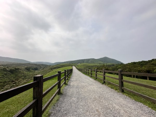 臺北大縱走第三段 小油坑》風櫃嘴2478272